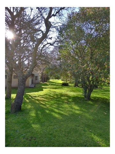 Imagen 7 de 14 de Quinta En Venta - 3 Dormitorios 3 Baños - 180mts2 - Miramar