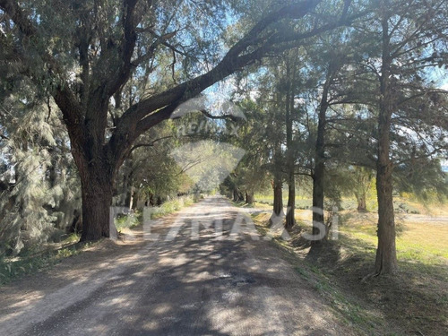 Terreno Venta San Miguel De Allende