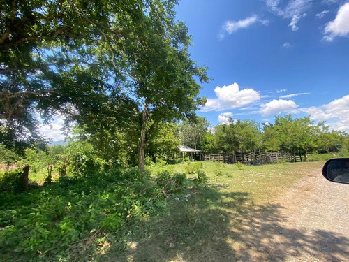 Venta Rancho 94 Hectareas El Otatal Alamo Temapache Veracruz