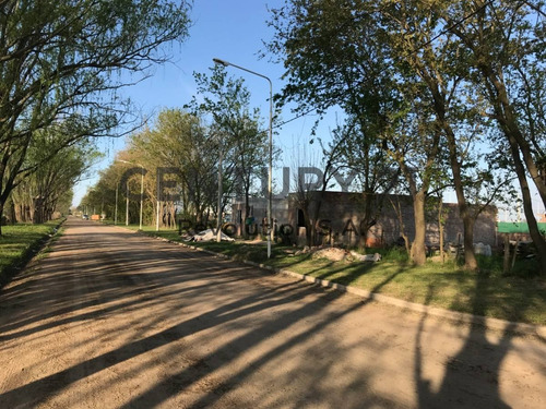 Imagen 3 de 12 de Vendo Terreno - Barrio Las Moras - Lote Irregular 542m² - Ricardone