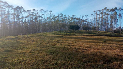 Imagem 3 de 14 de V20- Lotes Apenas 15 Minutos Do Centro Em Aruja !!!!