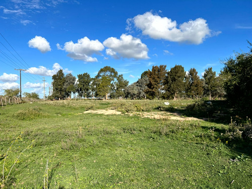 Imagen 5 de 17 de Atencion Inversor Amplia Parcela En Venta Sobre Ruta 20 Proxima A Las Lagunas De Chascomus Y Vitel