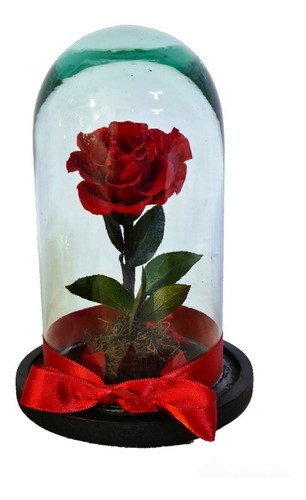 Rosa Eterna Mini En Capelo De Cristal Varios Colores 