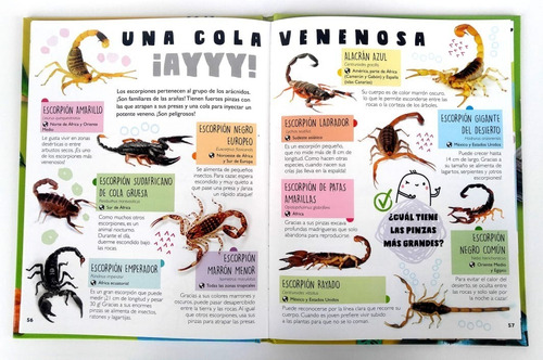 Libros Animales Del Mar/ Serpientes, Reptiles E Insectos