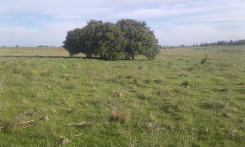 Campo De 26 Hectáreas Agrícola Ganadero.