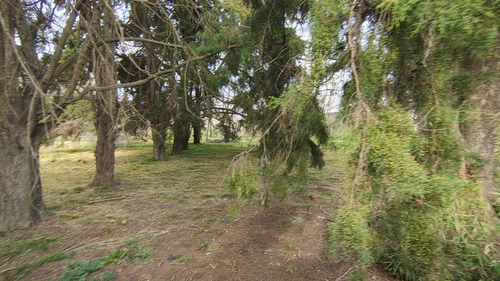 Venta Lote Terreno Chacras Canning 3278 M2 Totales