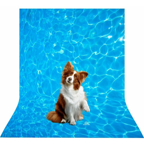 Fundo Fotográfico Pet Shop 1,20 X 1,70 M Tecido Sublimado 3d Cor Praia Desenho Impresso Modelos