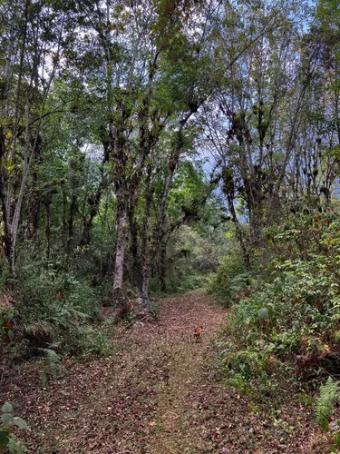 Vendo Espectacular Terreno