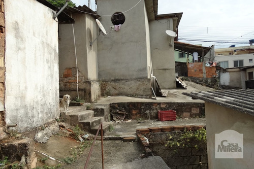 Imagem 9 de 14 de Casa À Venda No Dom Joaquim - Código 236494 - 236494