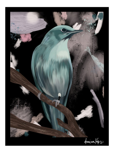 Pájaros Kit Pintura Por Números 30x40 Lienzo Con Bastidor
