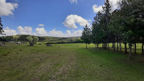 11 Hectáreas Cerca De Minas, Zona Del Campanero