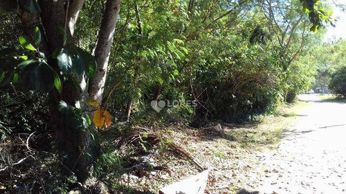 Imagem 5 de 5 de Terreno À Venda, 657 M² Por R$ 450.000,00 - Itaipu - Niterói/rj - Te3343
