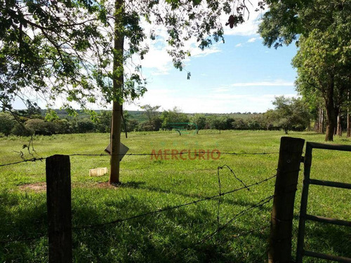Imagem 3 de 5 de Sítio À Venda, 24182 M² Por R$ 250.000,00 - Sitio - Bauru/sp - Si0012