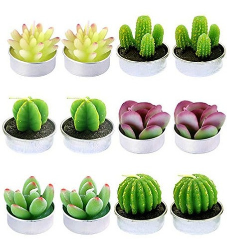 Swpeet 12 Piezas Decorativas Suculentas Cactus Velas Candeli