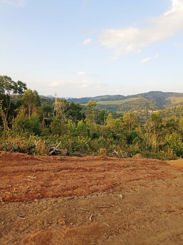 Imagem 5 de 25 de Ll- Terreno De Qualidade