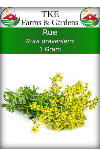 Tke Farms & Gardens - Semillas De Rue Para Plantar, 0.04 Oz,