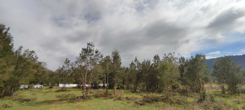 Se Vende Terreno En Venta De 5000 M2 Con Casa (81888)
