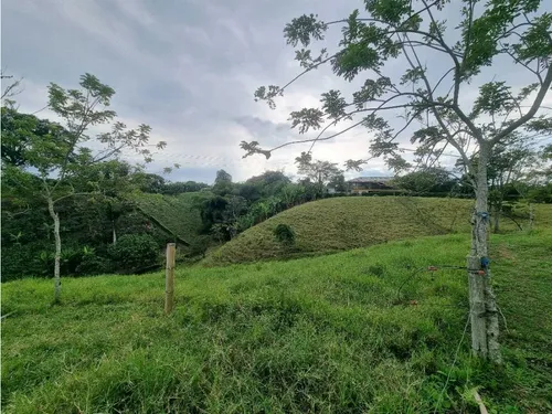 Finca Para La Venta Entre Quimbaya Y Filandia Con Excelenteubicación