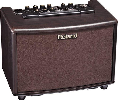 Coro Roland Ac-30-watt 33rw 2x5 Pulgadas Guitarra Acústica A