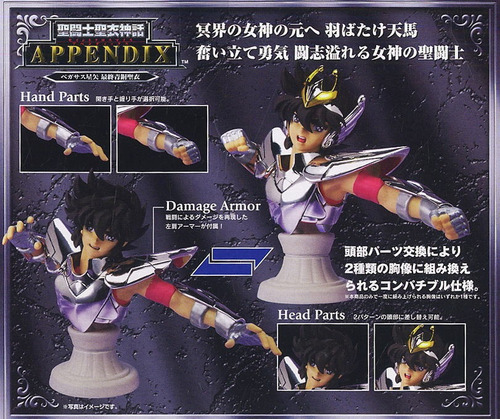 Saint Cloth Myth Appendix - Pegasus Seiya
