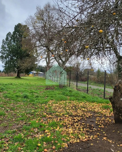 Parcela 0,5 Ha Rio Bueno