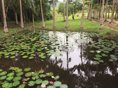 Imagem 28 de 30 de Chácara À Venda No Bairro Cerro - Camboriú/sc - 1654c