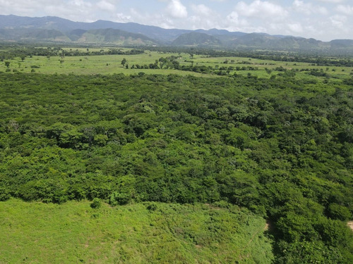 Imagen 12 de 30 de Finca En Venta Aguadagrande, Siquisique Cod. 23-7859