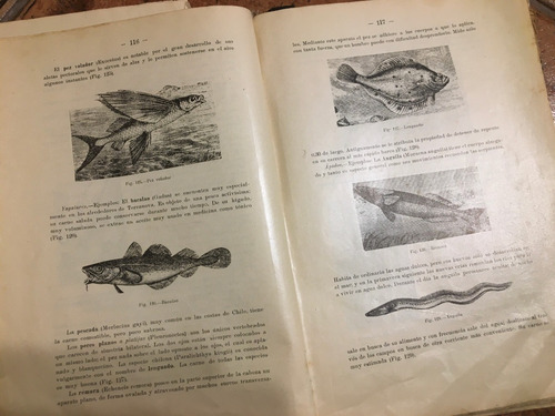 Libro Antiguo Elementos De Zoología, P. Félix Jaffuel (1921) (Usado)