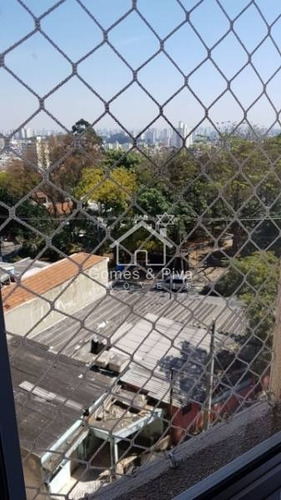 Lindo Apartamento Padrão No Bairro Vila Carmem, 3 Dorm, 1 Vagas, 60 M. Venha Conhecer E Se Apaixonar. - 103