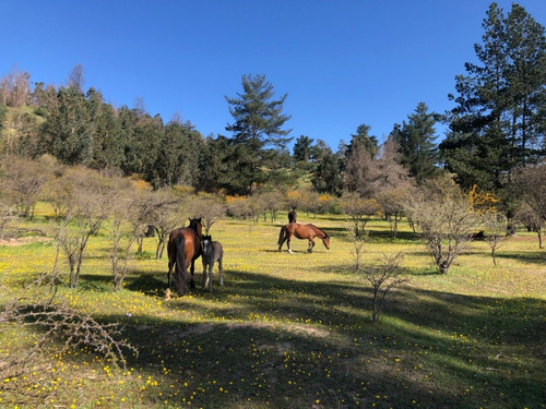 Imagen 6 de 22 de Lindos Sitios