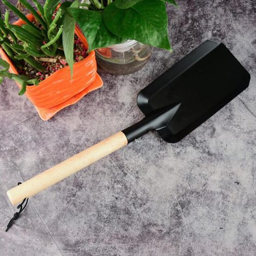 Pala De Jardín Con Mango De Madera, Recogedor