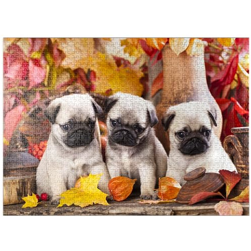 Pug Puppies - Premium 1000 Piece Jigsaw Puzzle - Made In Usa
