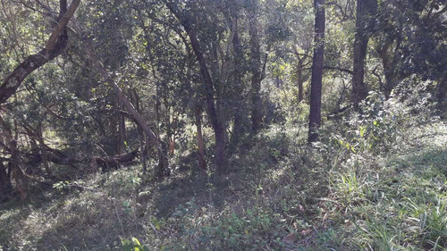 Imagem 4 de 4 de Terreno De Condomínio, Condomínio Voturuna, Santana De Parnaíba - R$ 850 Mil, Cod: 235378 - V235378