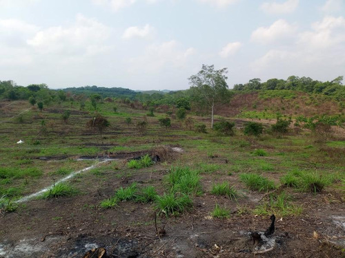 Venta De Terrenos Colonia Altamira Tuxpan Veracruz.