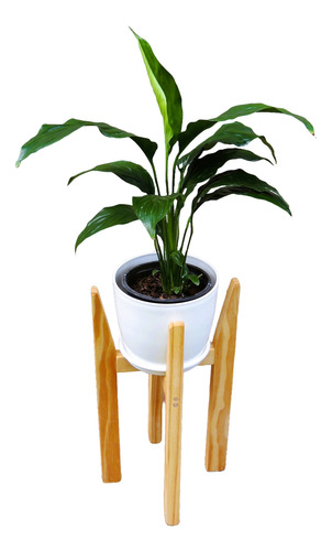 Planta Interior Cuna De Moisés Combo C/pie Nórdico Blanco