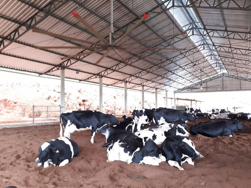 Livro Compost Barn