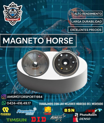Magneto Horse 