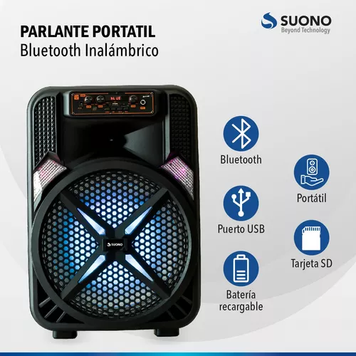 Parlante Portatil Potente Compacto Puerto Usb Con Bluetooth