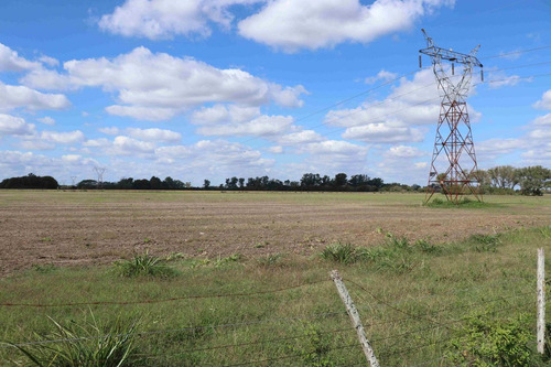 Imagen 11 de 25 de Venta Campo 83,3 Hectareas Agrícolas En Lima