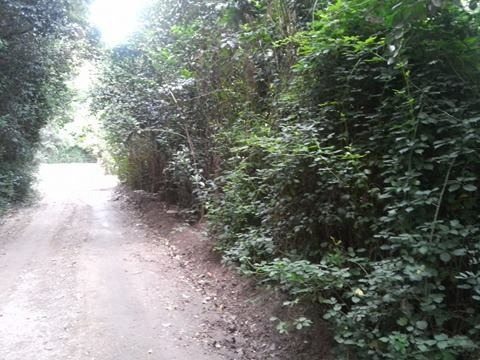 Imagen 5 de 7 de Venta De Lote En Merlo, San Luis