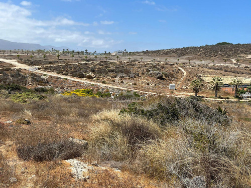 Terreno En Las Tacas Para Desarrollo 6.000m2