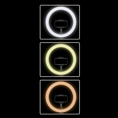 Aro De Luz Led 26cm+soporte Celular+trípode 2.10 M +20 Kn95