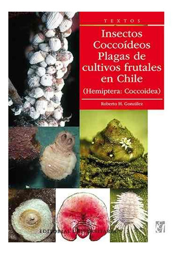 Insectos Cocoideos. Plagas De Cultivos Frutales En Chile