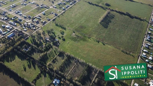 Imagen 9 de 30 de Espectacular Fracción De Campo Para Urbanización, Proponga Su Proyecto !!