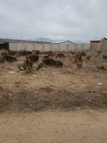 Terreno Plano