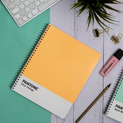 Cuaderno Universitario Rhein Pantone Pack X 6 Unidades