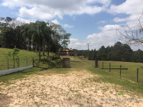 Imagem 1 de 9 de Terreno À Venda, 80000 M² Por R$ 3.000.000,00 - Loteamento Itaboa - Campo Largo/pr - Te0033