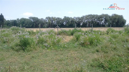 Imagen 23 de 30 de Agrícola En Venta En Linares