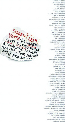 Sudden Flash Youth : 65 Short-short Stories, De Christine Perkins-hazuka. Editorial Persea Books Inc En Inglés
