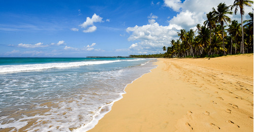 Terrenos En Las Terrenas Con Vista A La Playa De Coson